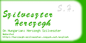 szilveszter herczegh business card